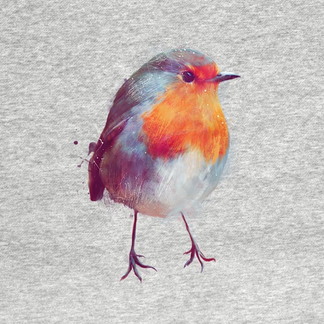 Winter Robin by Amy Hamilton